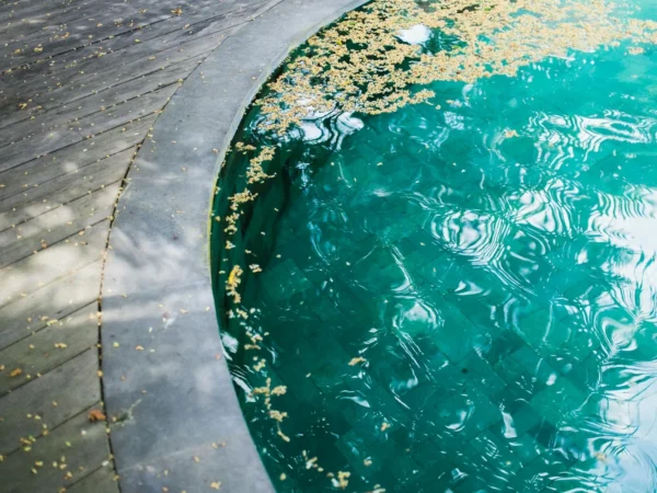 Eau trouble piscine : causes et solutions efficaces