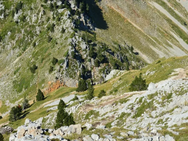 Pas de vis abîmé : comment le réparer efficacement